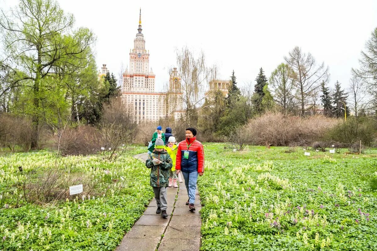 Ботанический сад МГУ Москва. Ботанический сад МГУ на Ленинских горах. Бот сад МГУ Воробьевы горы. Москва Ленинские горы 1/12 Ботанический сад МГУ. Сад биологического факультета мгу