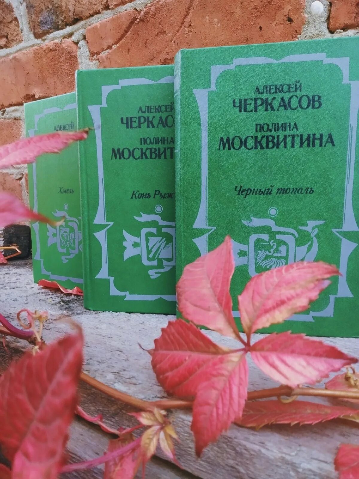 Рыжий тополь трилогия. Трилогия хмель конь рыжий черный тополь.
