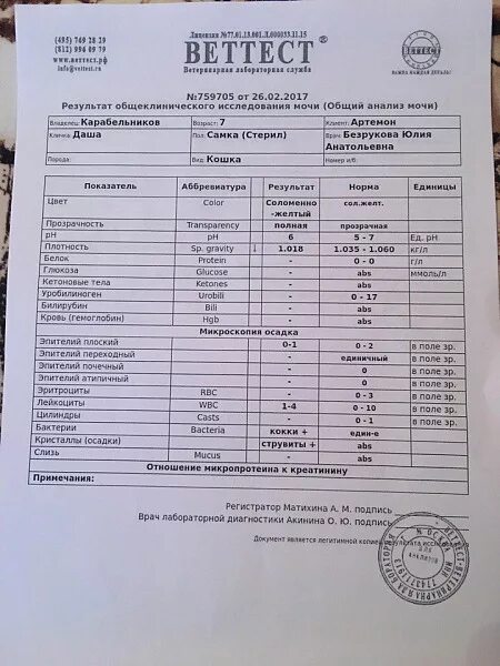 Сколько мочи кот. Биохимический анализ мочи при мкб у собаки. Анализ мочи кошки. Общий анализ мочи у кошек. Показатели анализа мочи у кота.