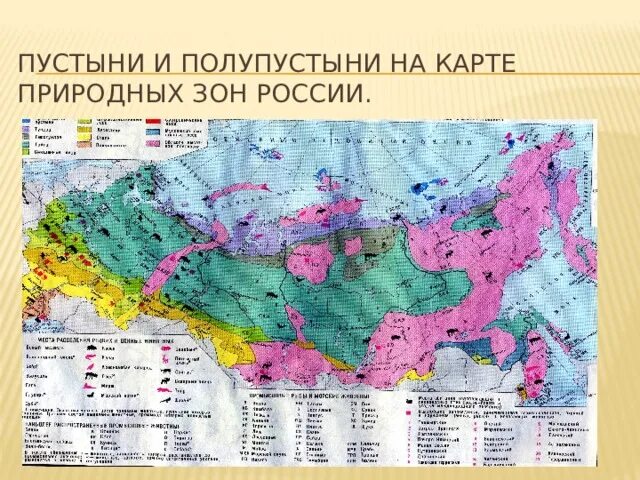 Зона пустынь и полупустынь в России на карте. Географическое положение пустынь и полупустынь в России на карте. Зона пустыни на карте России. Природные зоны России пустыни и полупустыни карта.