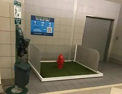 В специальном месте которое