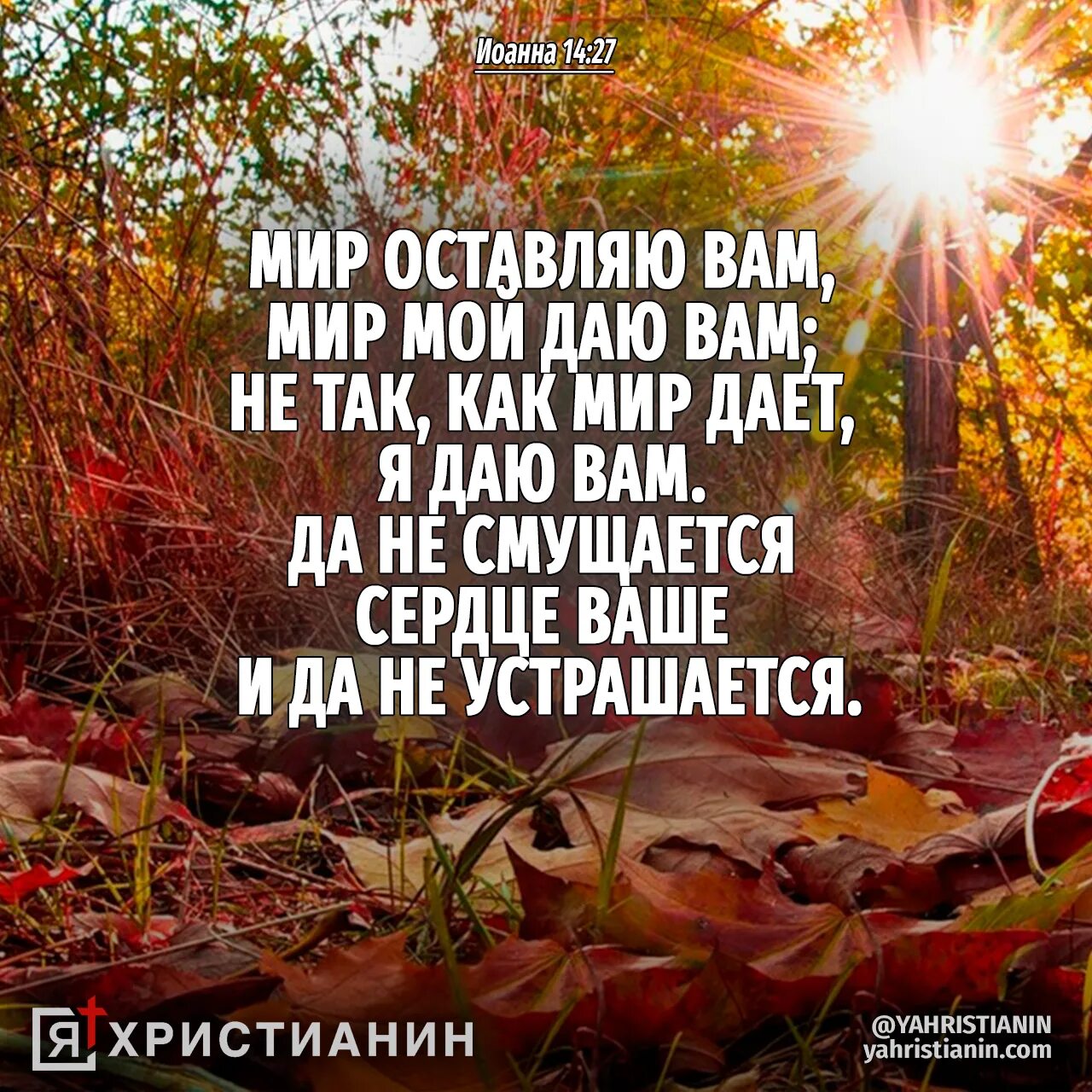 Мир мой даю вам. Мир свой даю вам. Мир оставляю вам. Мир оставляю вам мир даю вам.