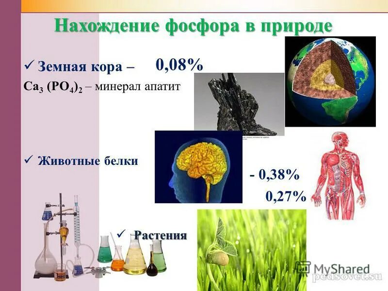 В каких соединениях встречается фосфор в природе. Фосфор в природе. нахождение в природе фосфора. распространенность фосфора в природе. фосфор в природе встречается.