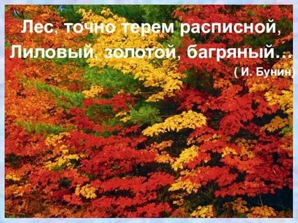 Как понять слово багряный