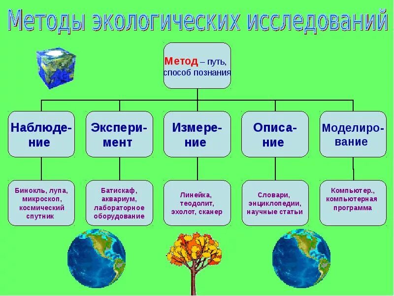 Примеры изучения экологии. Экология презентация. Экологические методы. Экология это наука. Проект экология презентация.