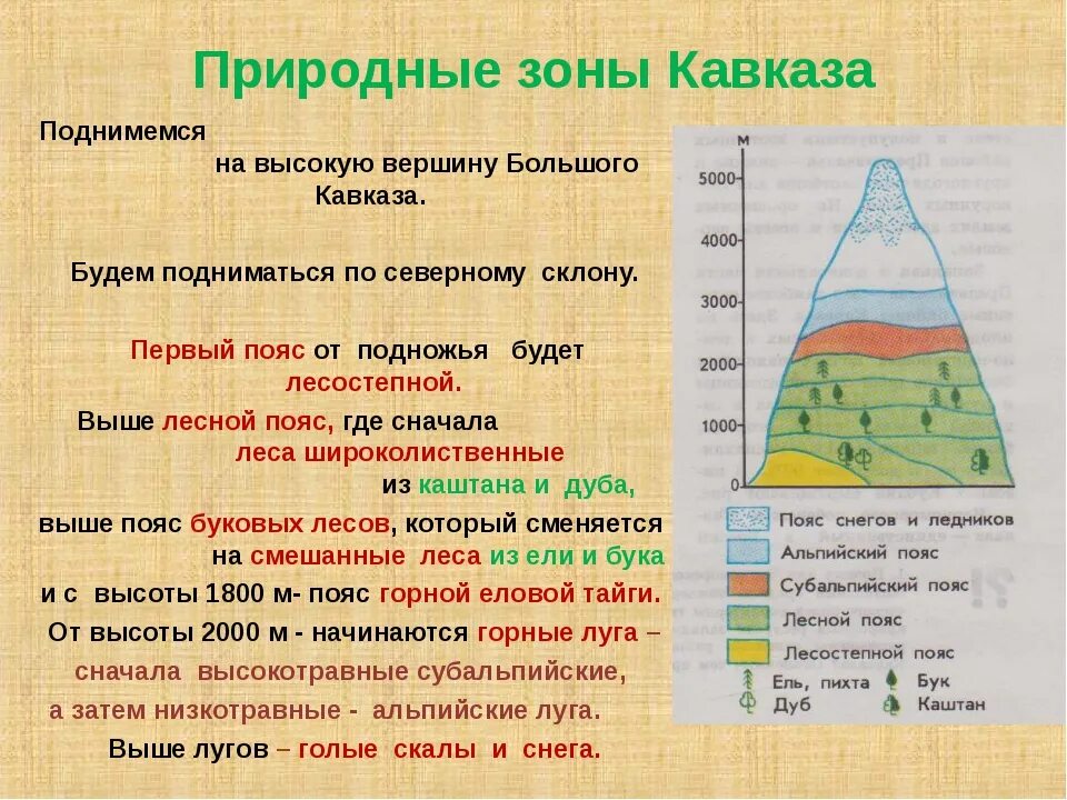 Природные пояса кавказских гор