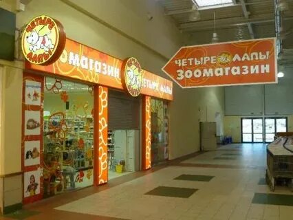 Четыре лапы липецк