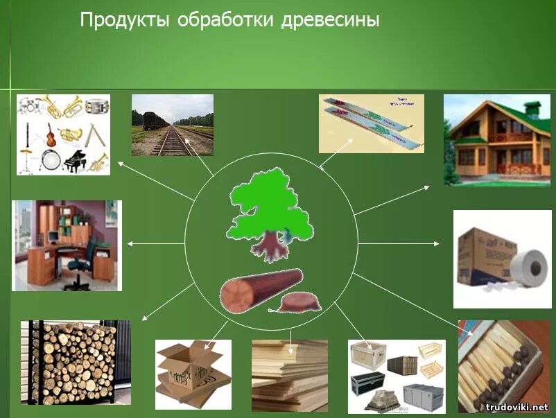 Что делают из древесины. Продукты получаемые из древесины. Продукт переработки древесины. Что сделано из древесины