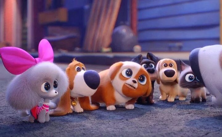 Тайная жизнь домашних животных 2 собаки. Тайна домашних животных хлоя. Тайная жизнь домашних животных 2. Домашние животные 2 музыка. Тайная жизнь домашних животных 2 ковбой.