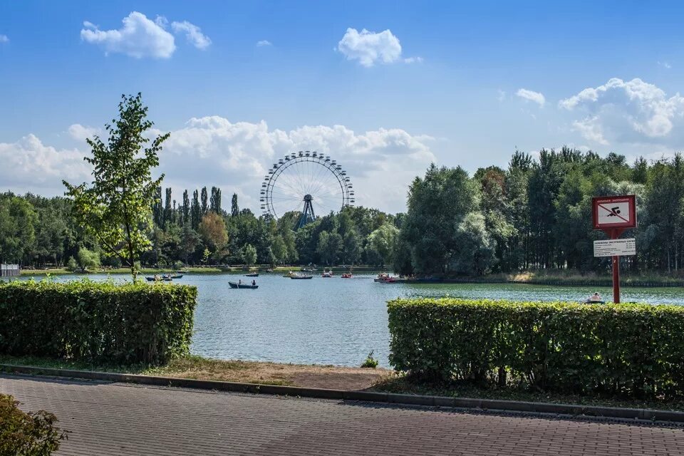 Измайловский парк московский просп 2 фото. Измайловский парк Москва. Измайловский парк лесопарки Москвы. Реутов Измайловский парк. Измайловский парк лето.