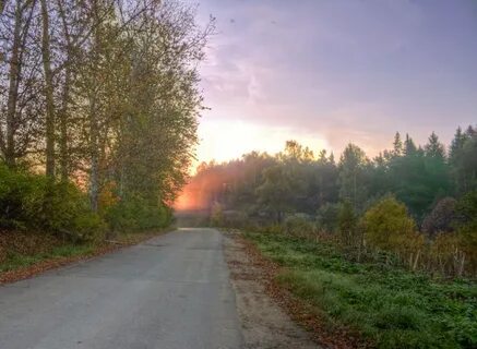 Пушкинская дорога