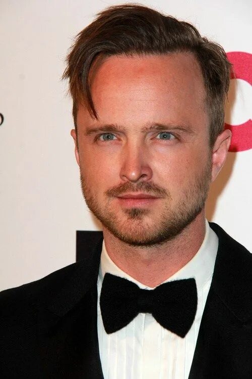 30 Lovely Mens Short Hairstyles for Thin Hair men s hairstyle for thin straigh T