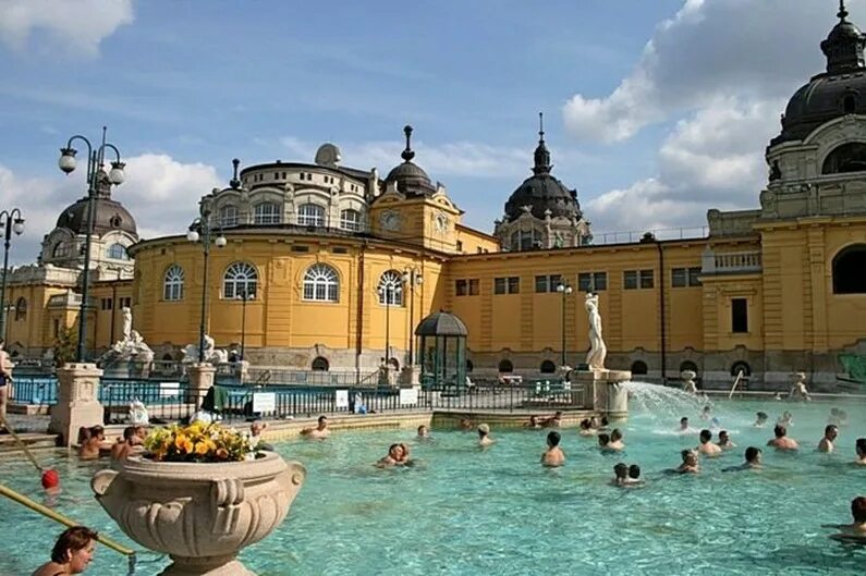 Купальни Сечени в Будапеште. Термальные купальни Сечени. Будапешт купальни Сечени зимой. Венгрия Будапешт термальные источники. Термальная лечебная вода одного курортов венгрии содержит