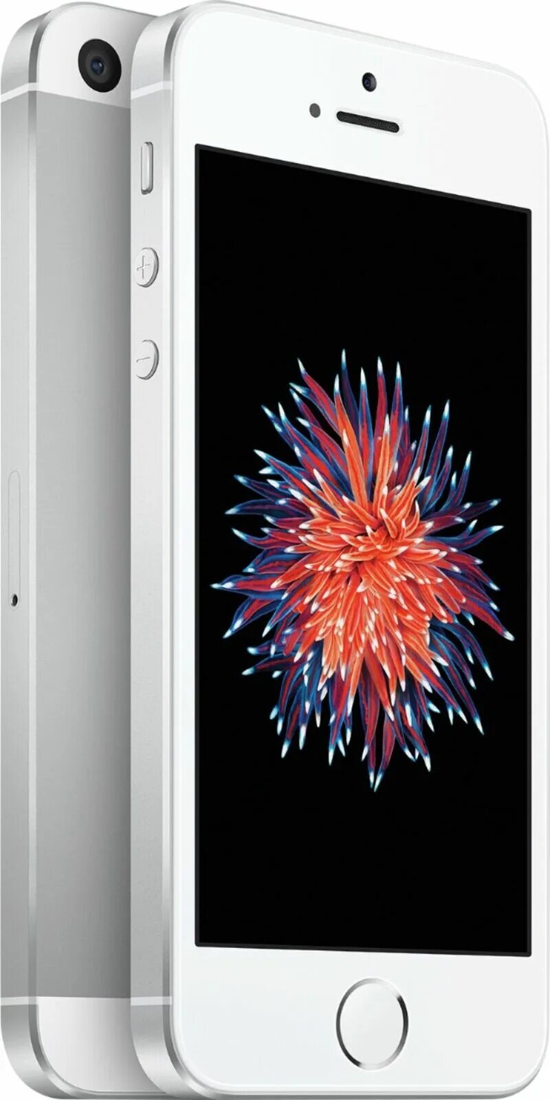 Смартфон Apple iphone se 32gb. Айфон 5 se 32 ГБ. Iphone se 32 GB Silver. Айфон se 2016 32 ГБ.