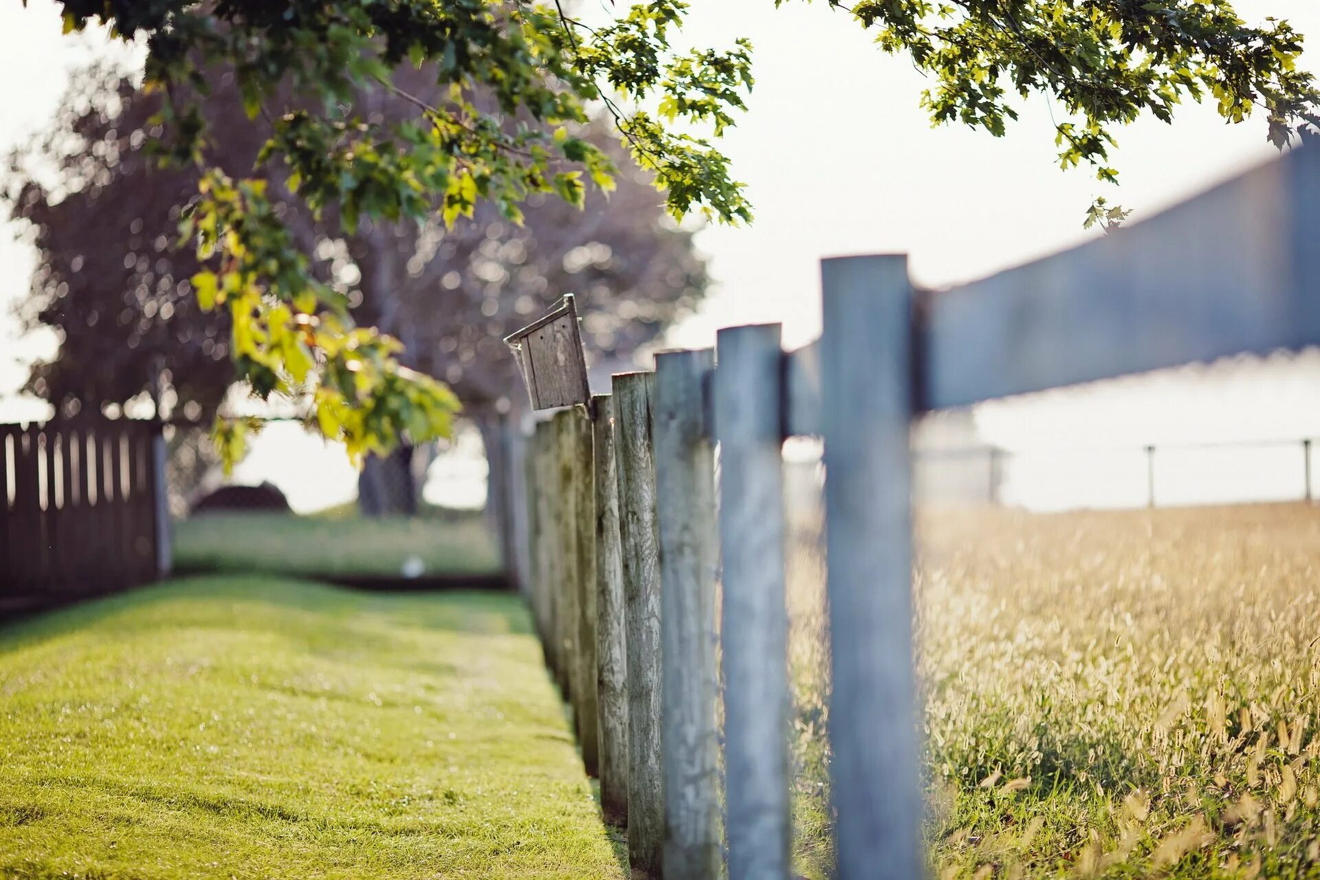 Сплошной деревянный забор. Деревянный забор. Старый деревянный забор. Деревянный стол на природе. Забор для газона.