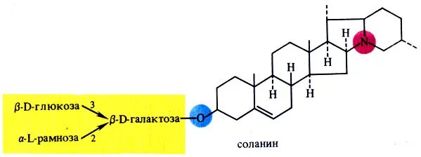 Наибольшее количество соланина. Соланин. Алкалоид соланин. Соланин структурная формула. Соланин яд.