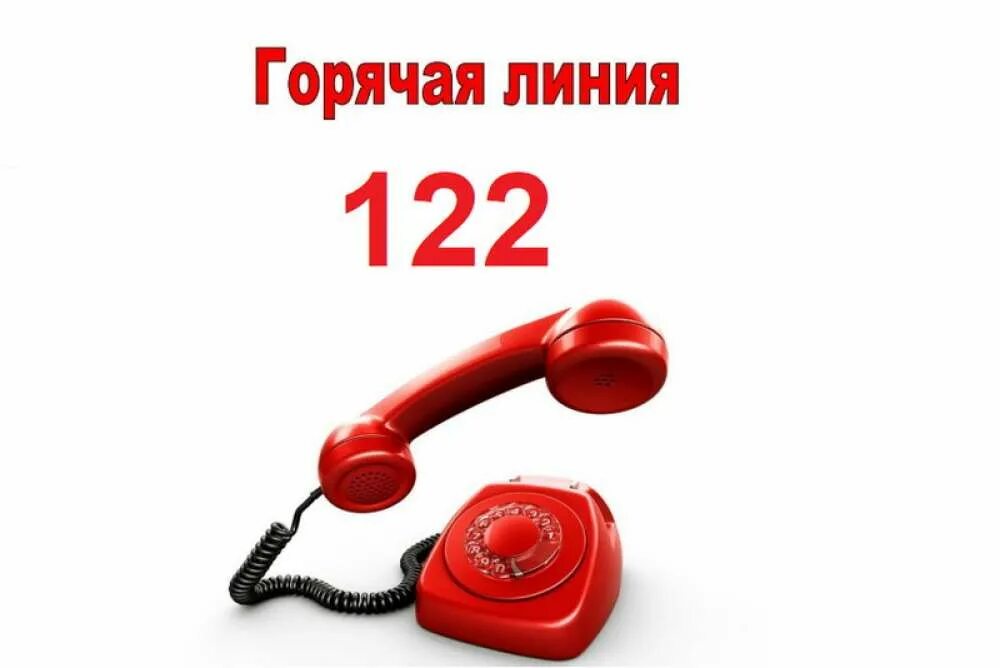 Горячая линия 122. Звонок на горячую линию. Единый номер 122. Горячая линия по мобилизованным 122. Телефон поликлиники москва единый номер