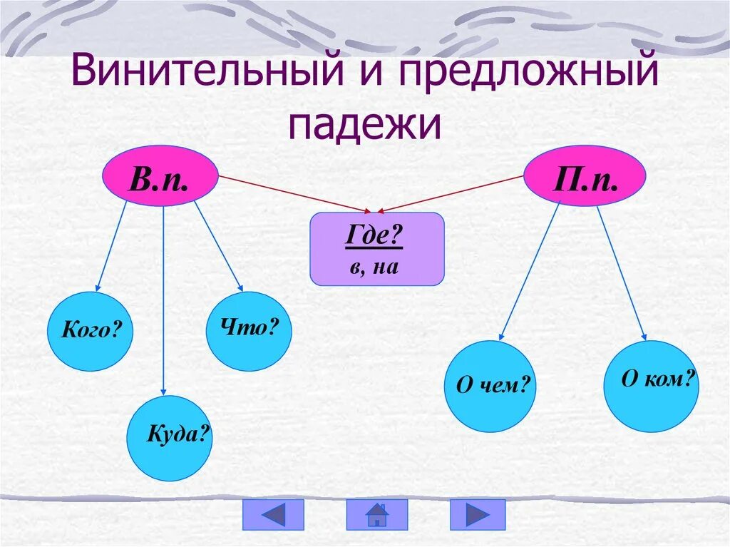 Чем отличается именительный падеж от винительного падежа. Как отличить винительный падеж от родительного. Различение именительного и винительного падежей. Различение родительного и винительного падежей. Родительный и винительный падеж.