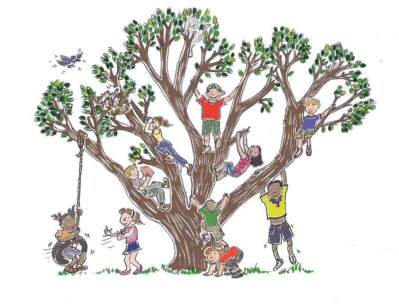 Can your climb a tree