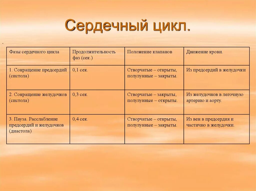 Как изменяется сердечный цикл во время физической. Периоды и фазы сердечного цикла таблица. Таблица фазы сердечного цикла Длительность фазы. Фаза сердечного цикла таблица направление движения крови. Характеристика фаз сердечного цикла таблица.