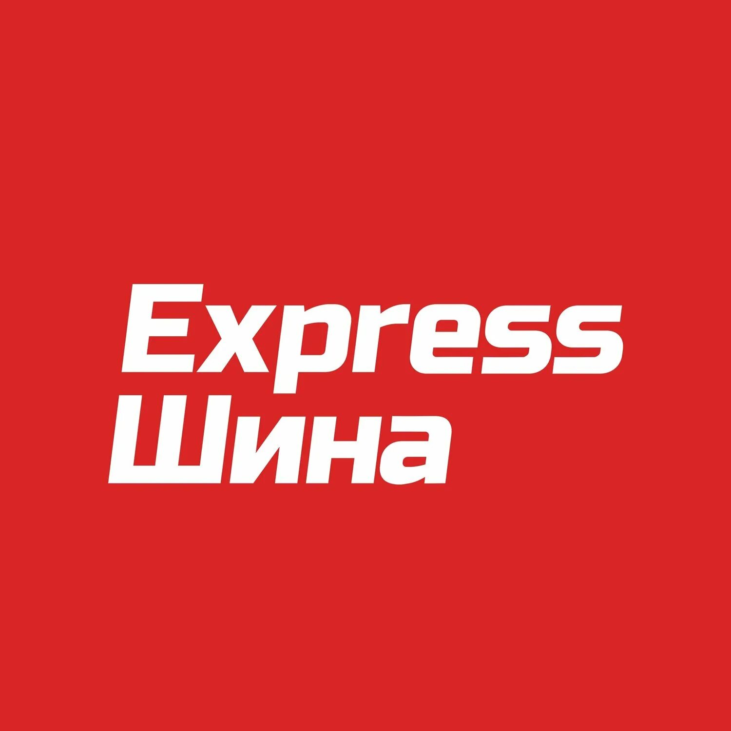 Экспресс шина адрес. Экспресс шина пермь. Ленинградская 51б. Экспресс шина адрес. Экспресс шина самара.