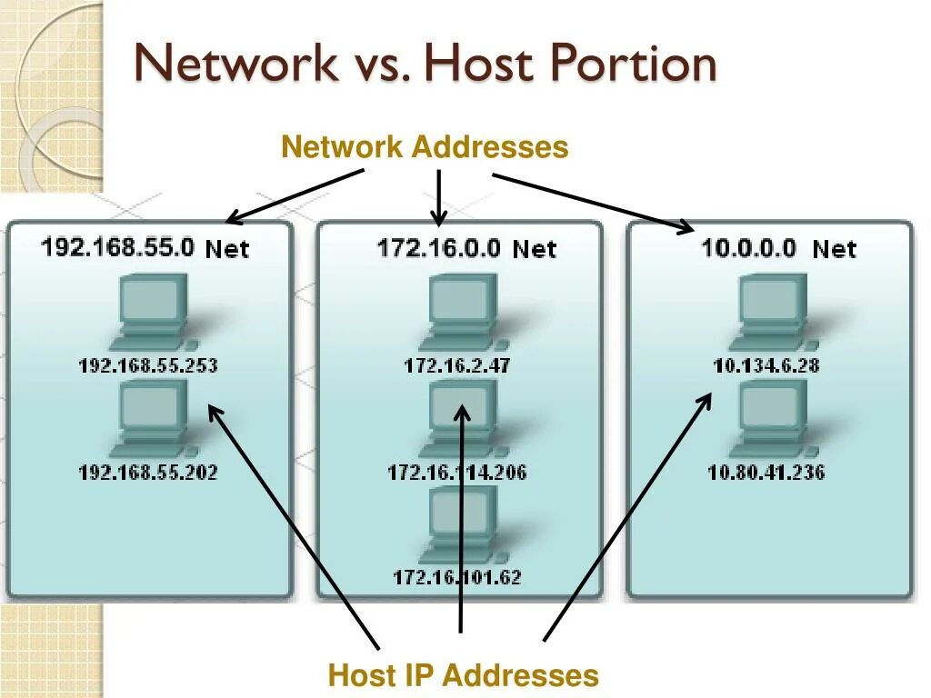 Хост IP. Хост в IP адресе это. Хост в сети это. Хост это в информатике. Region host