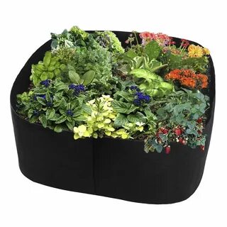 Bag plant