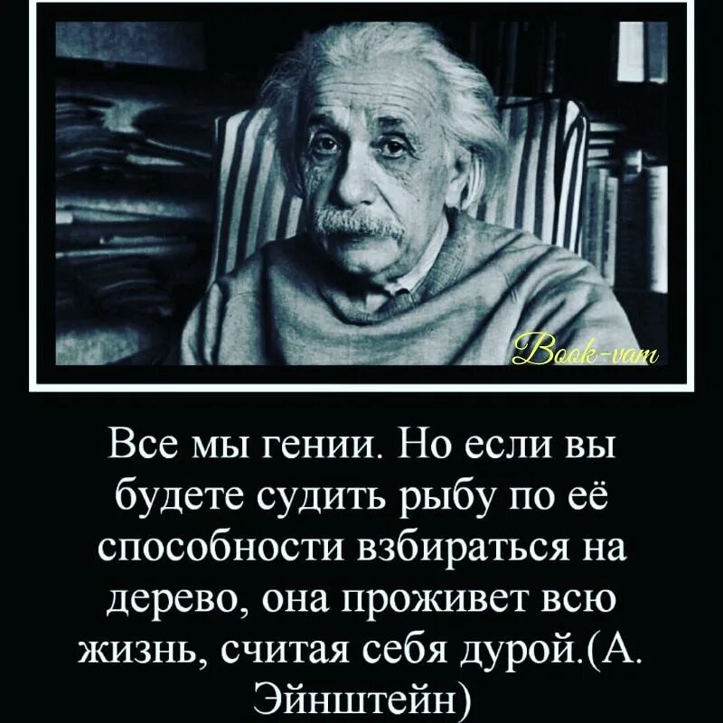 Каждый гениален. Высказывания Эйнштейна. Эйнштейн цитаты. Эйнштейн все мы гении. Высказывание Эйнштейна о беспорядке.