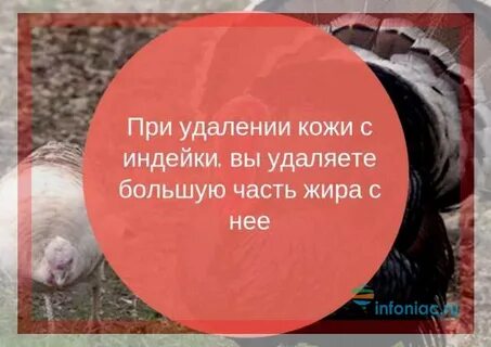 Жир индейки