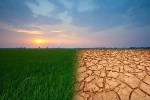 Climate c