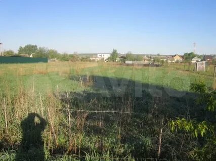 Медовка воронеж