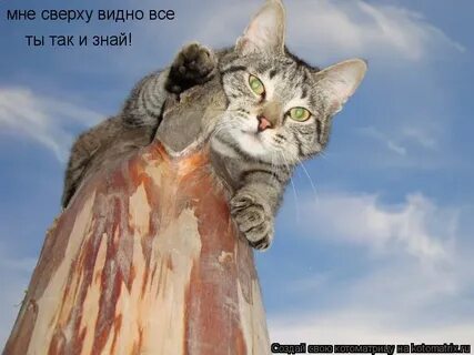 Видно верх