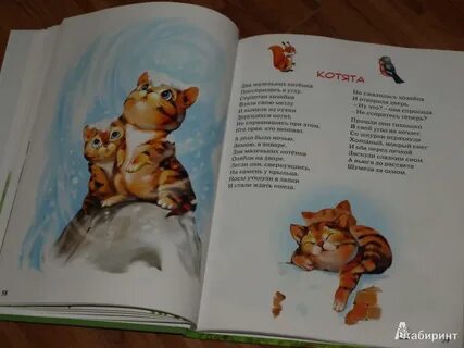 Стихи 2 кота