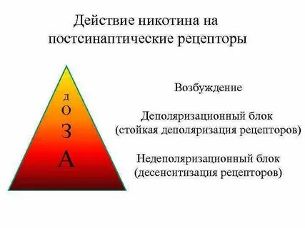 Десенситизация