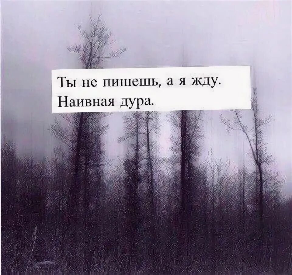 Наивная цитаты. Напиши мне цитаты. жду когда напишешь. ждать цитаты.