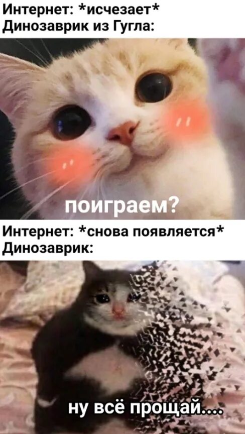 Появляется снова. Профилактика мем. это я снова появляюсь.