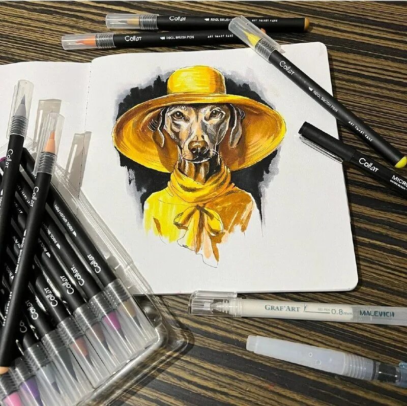 маркеры collart