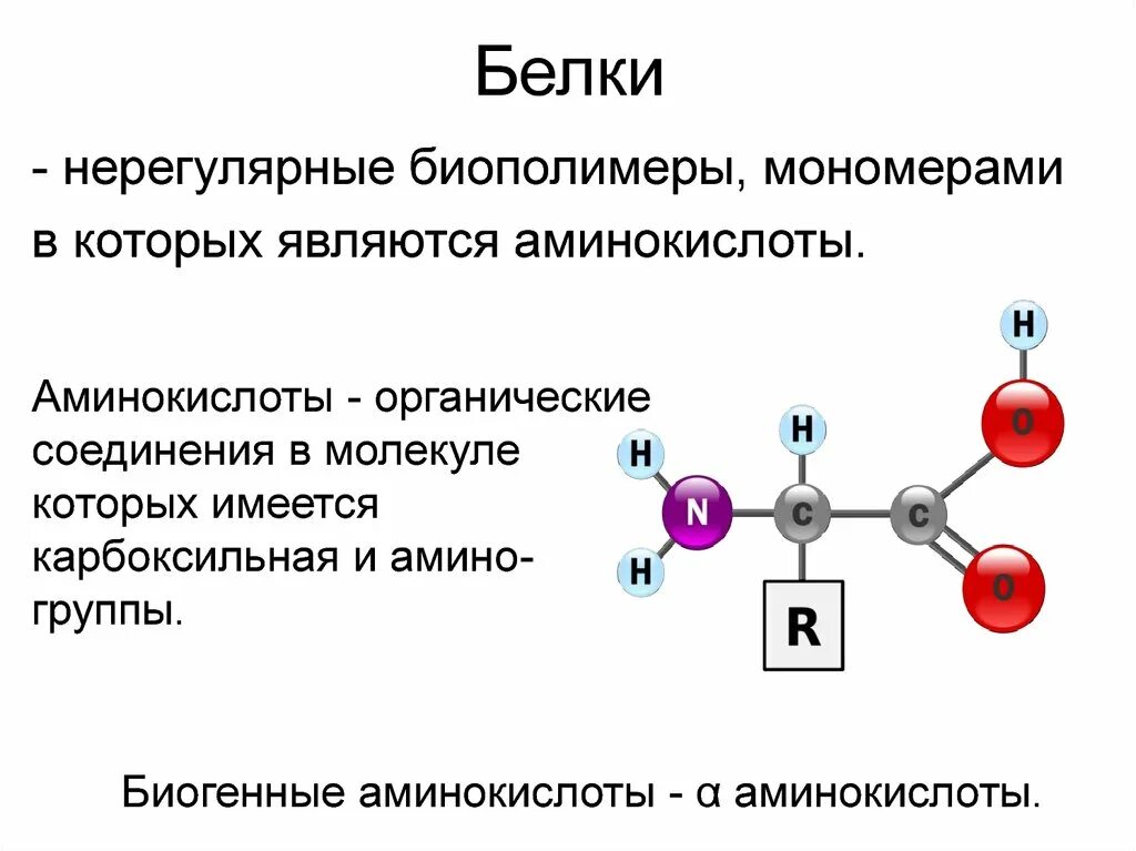 Белки биологические полимеры мономерами. Белки нерегулярные биополимеры мономерами которых являются. Белки нерегулярные биополимеры. Белки биологические полимеры мономерами которых являются. Белки биополимеры мономерами которых являются.