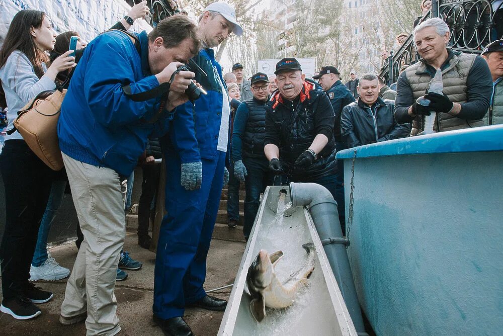 Ловля воблы в астрахани в 2024 году. Фестиваль вобла Астрахань. Фестиваль рыбалки Астрахань. Фестиваль вобла 2022 Астрахань. Фестиваль вобла 2023.