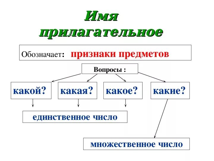 Видеоурок русский язык имя прилагательное