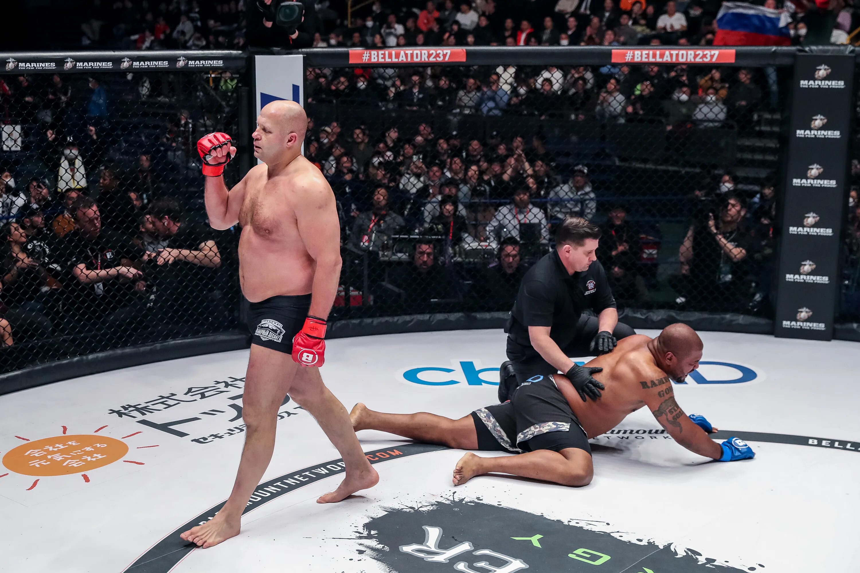 Питбуль беллатор. Гонорары беллатор. Рейтинг беллатор. Мировой рейтинг бойцов. Полусредний вес беллатор рейтинг.