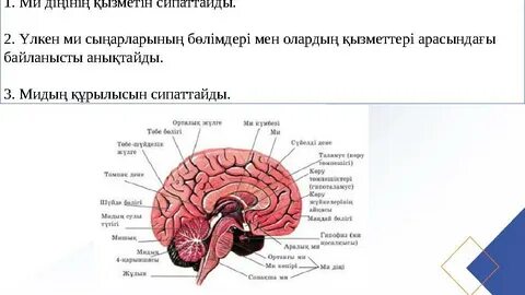 Ростовта жыныстық қатынас үшін ересек әйелді іздеймін