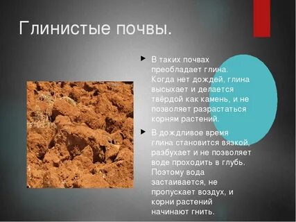 Глинистая почва почему и