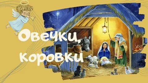 Песня овечки