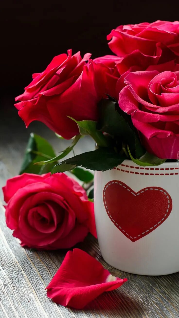 The best roses. The best roses. The best roses. Шикарные цветы. The best roses.