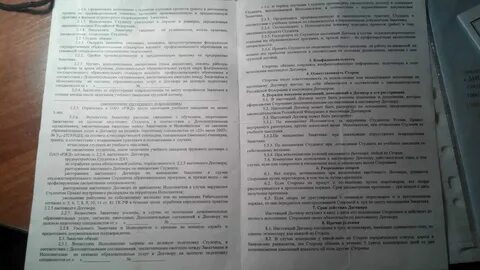 Договор об образовании 2024