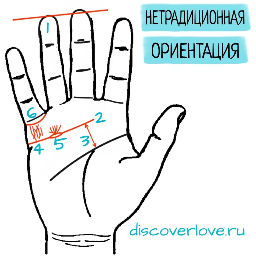 Тип ориентации тест. Ориентация по руке. как определить ориентацию человека по руке. тест на ориентацию по руке. определить ориентацию человека по пальцам.