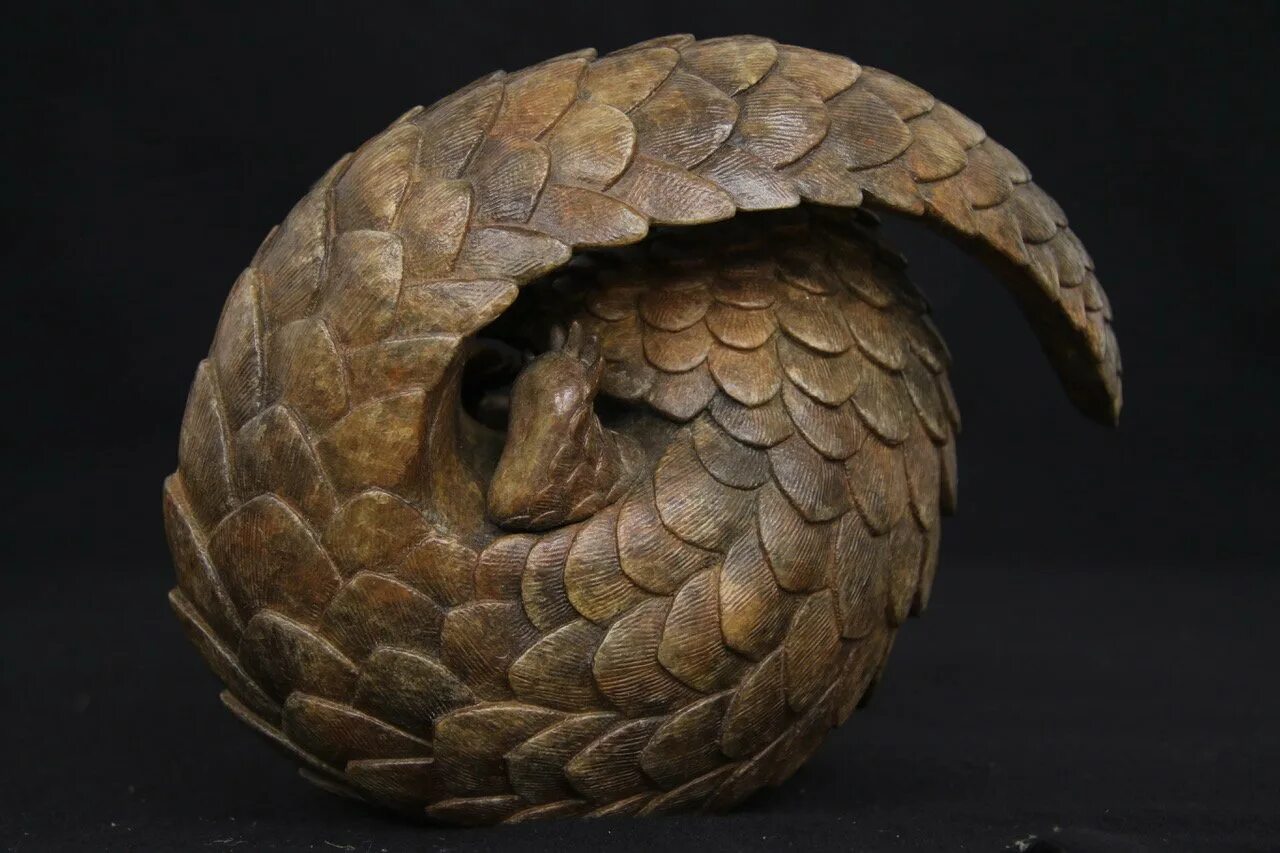 Pangolin