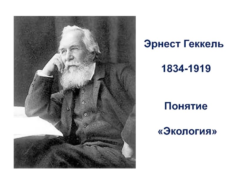 Термин экология. 1866 год термин экология. Термины предложил э. Эрнст геккель экология. 1866 год термин экология.