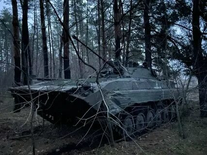 Бои за синьковку 2023